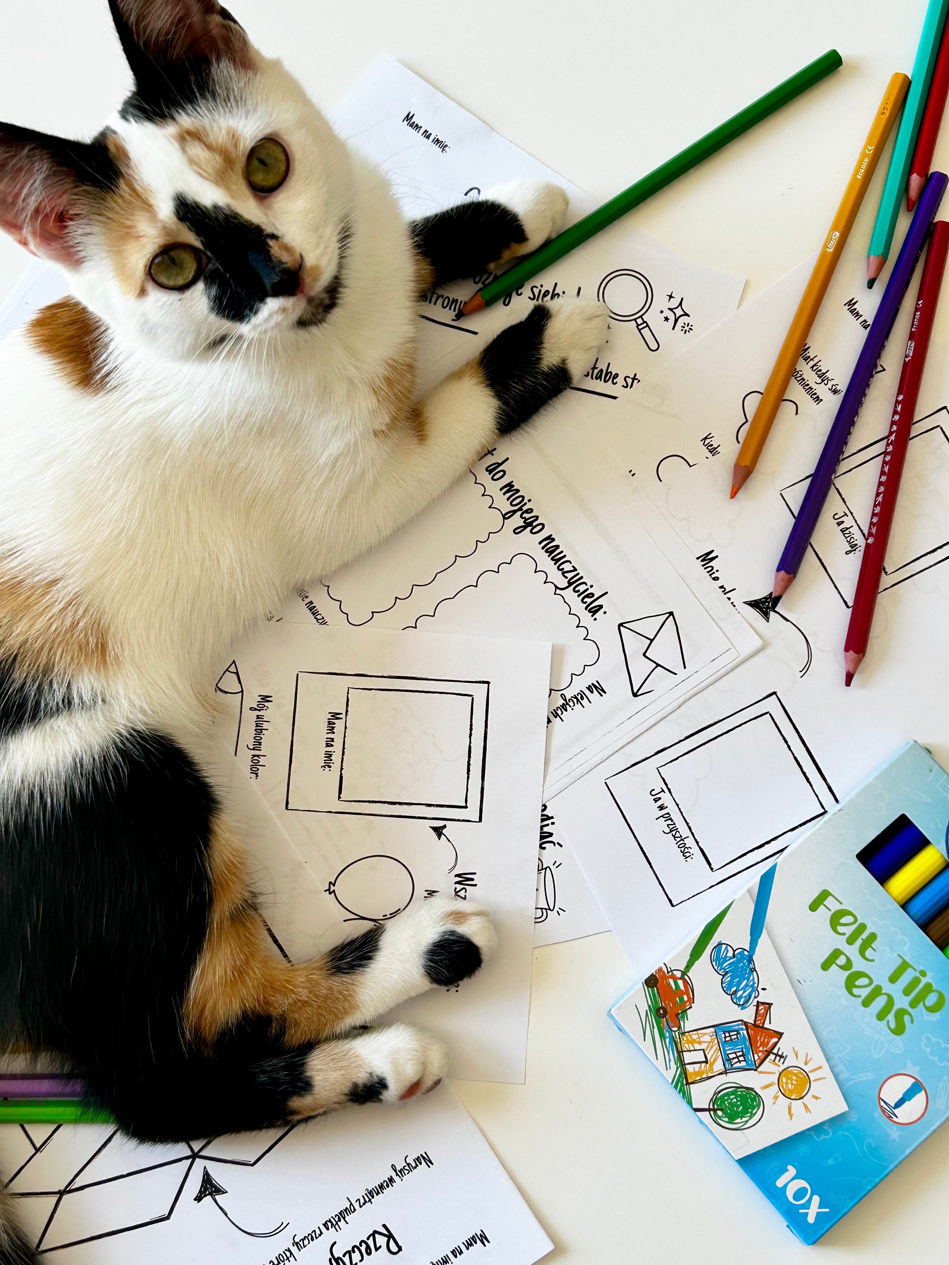 Zestaw Kart Pracy - Poznajmy się! PDF (Godzina wychowawcza i integracja)