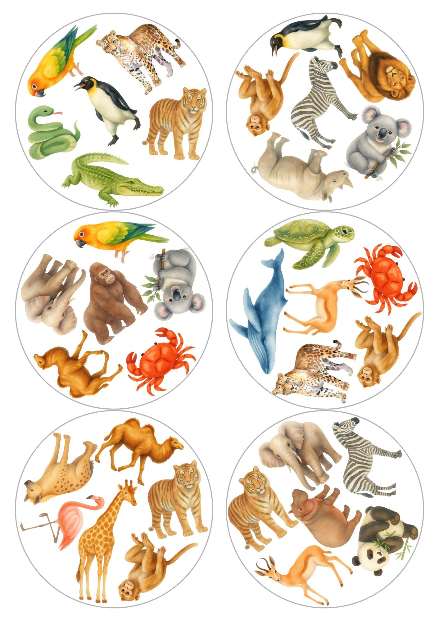 Gra "ŁapPary" - Zoo