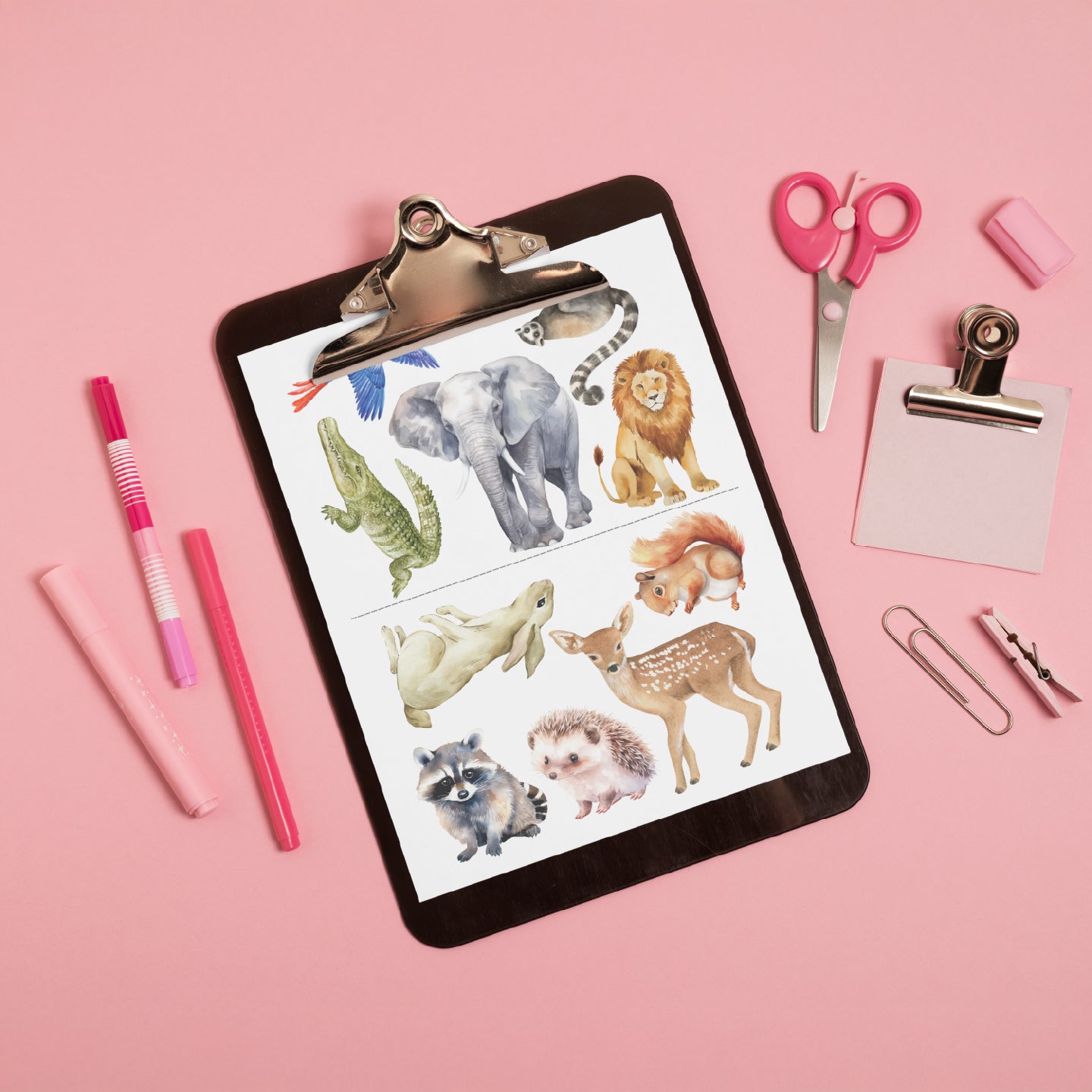 Podział na grupy - Ilustracje (Darmowy Pakiet!)